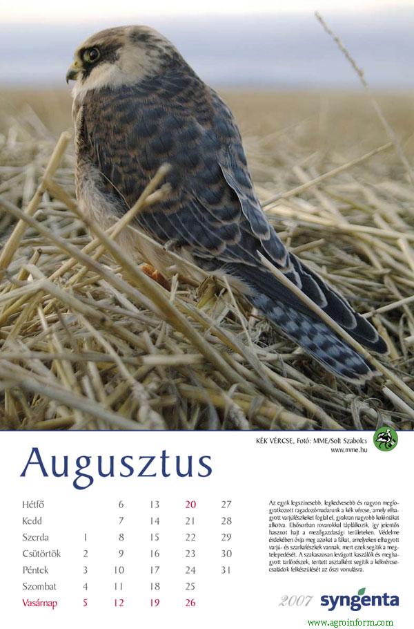 Magyarország madarai naptár 2007 re