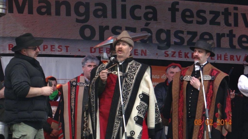 VII. Mangalica Fesztivál 2014