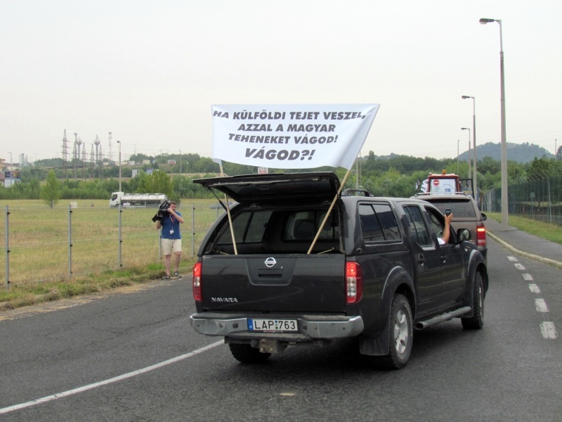 Tejtermelők demonstrációja Budaörsön